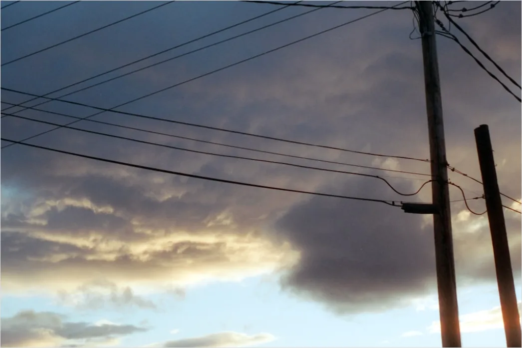 Detail Downed Power Lines Storm Damage Number 12