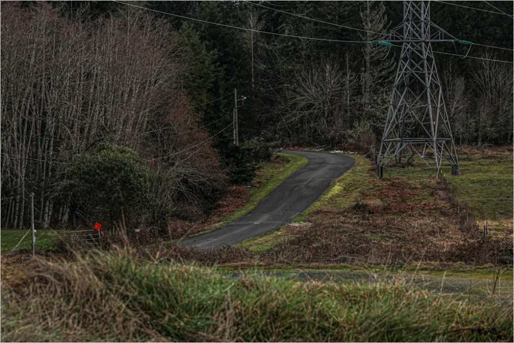 Detail Downed Power Lines Storm Damage Number 13