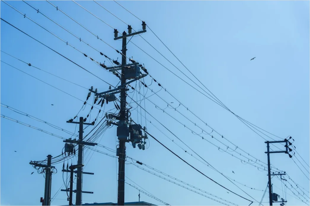 Detail Downed Power Lines Storm Damage Number 14
