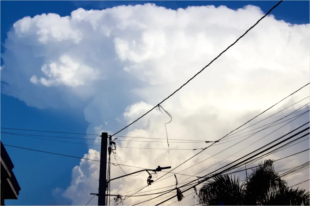 Detail Downed Power Lines Storm Damage Number 19