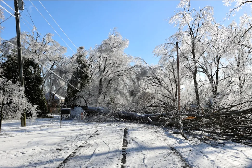 Detail Downed Power Lines Storm Damage Number 4