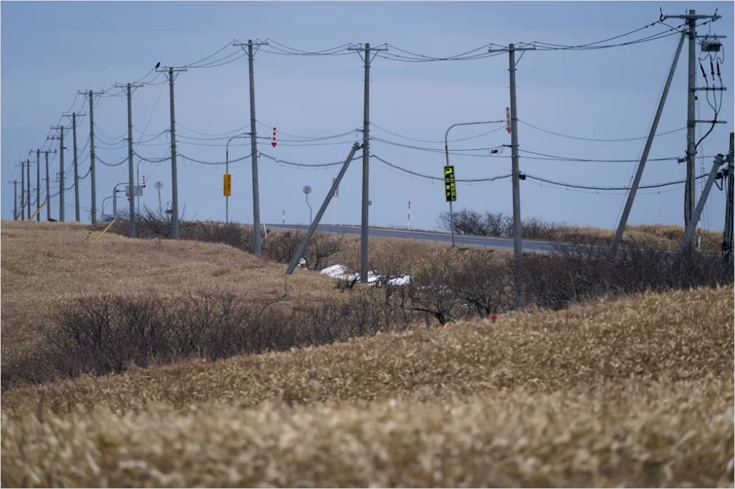 Detail Downed Power Lines Storm Damage Number 5
