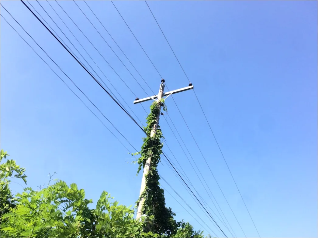 Detail Downed Power Lines Storm Damage Number 6