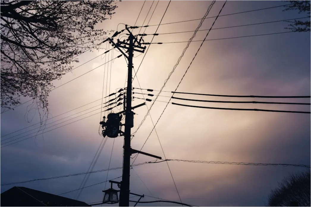 Detail Downed Power Lines Storm Damage Number 8