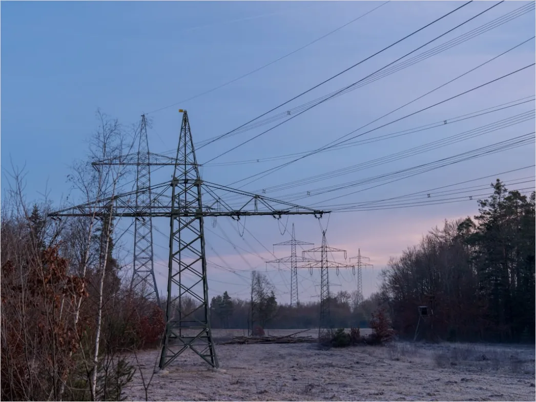 Detail Downed Power Lines Storm Damage Number 9