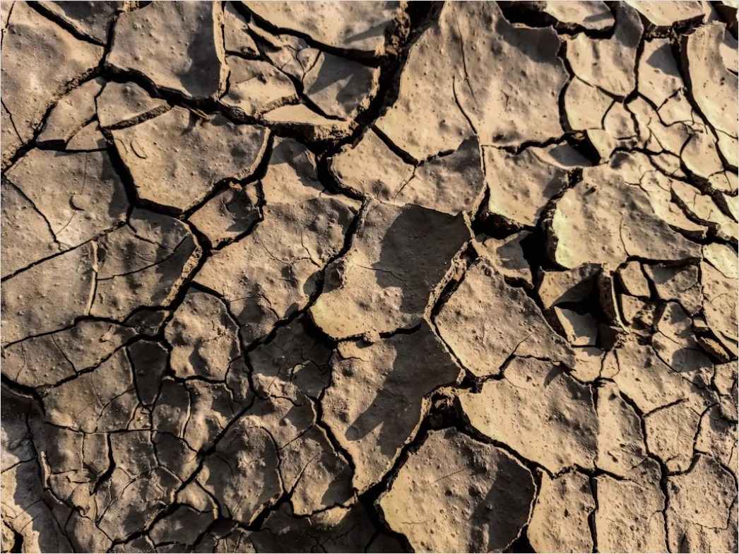 Detail Dry Cracked Mud Aerial Pattern Number 11