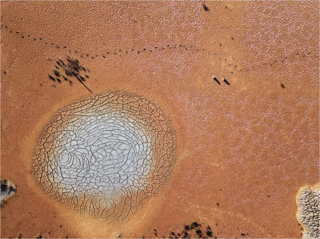 Detail Dry Cracked Mud Aerial Pattern Number 12