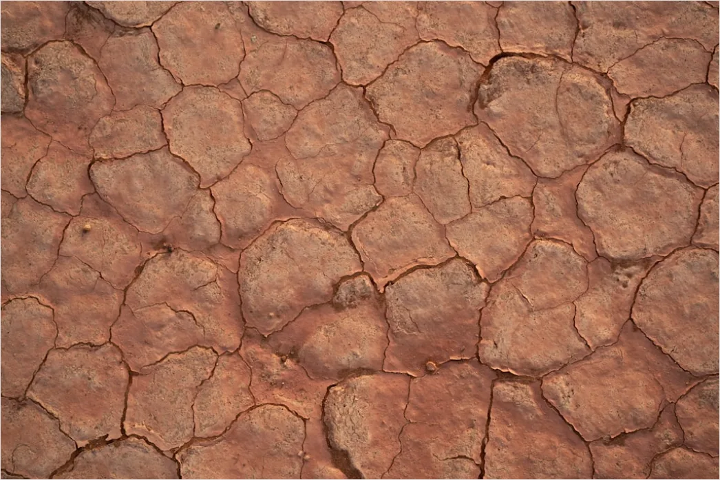 Detail Dry Cracked Mud Aerial Pattern Number 16