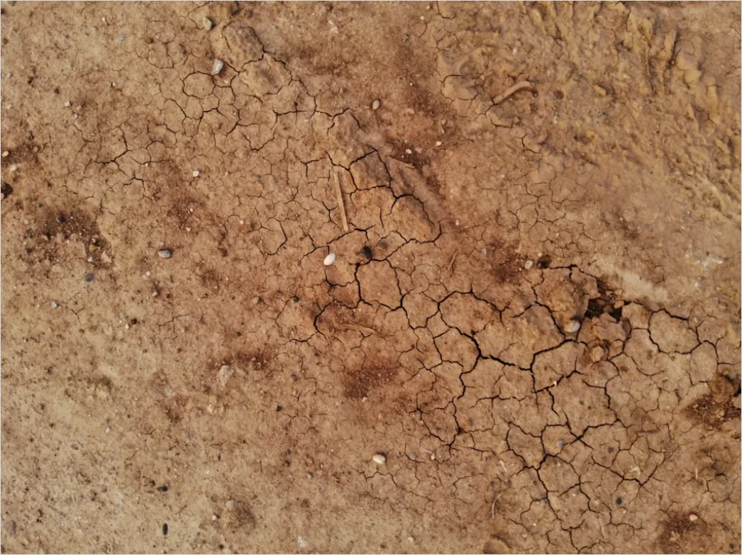 Detail Dry Cracked Mud Aerial Pattern Number 18