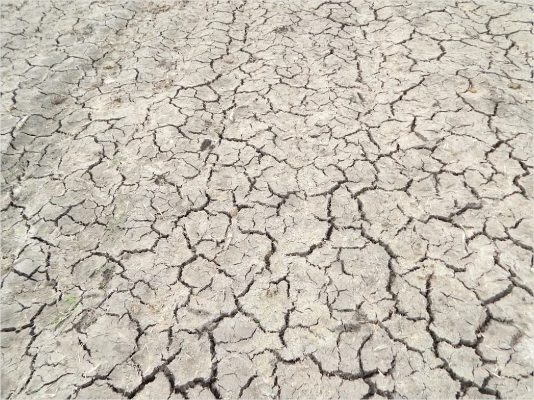 Detail Dry Cracked Mud Aerial Pattern Number 19
