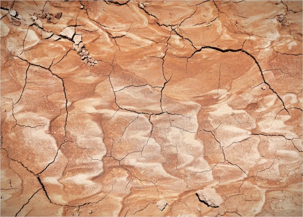 Detail Dry Cracked Mud Aerial Pattern Number 20