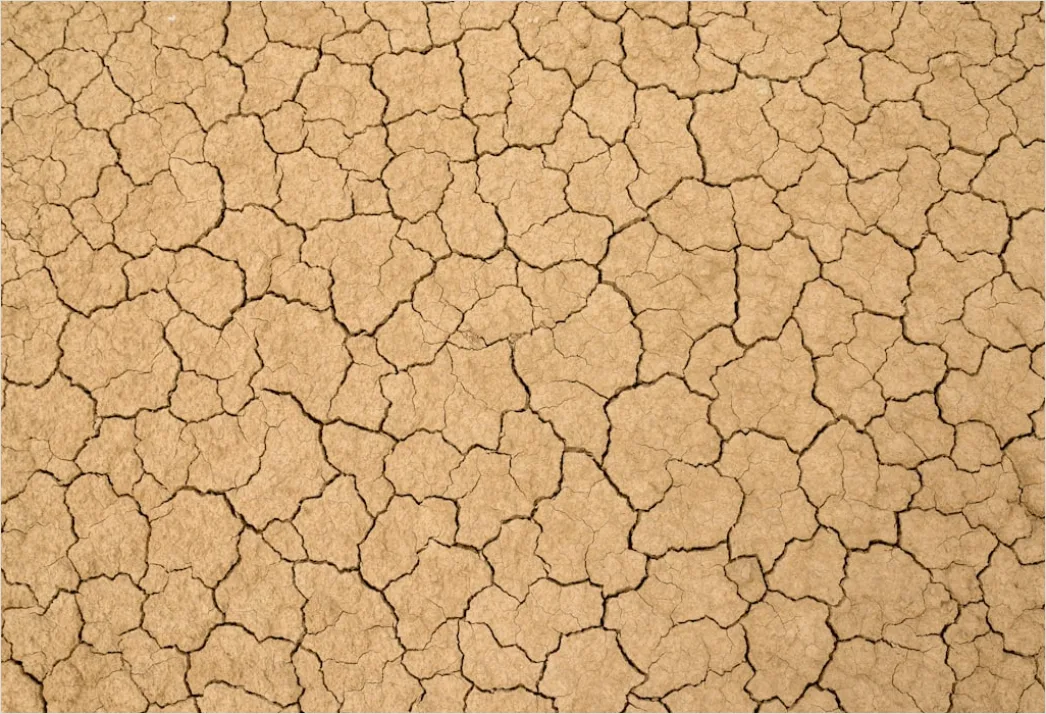Detail Dry Cracked Mud Aerial Pattern Number 3