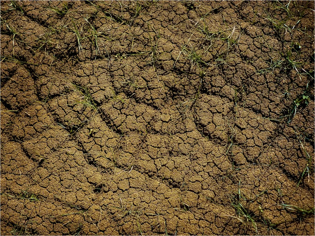 Detail Dry Cracked Mud Aerial Pattern Number 8
