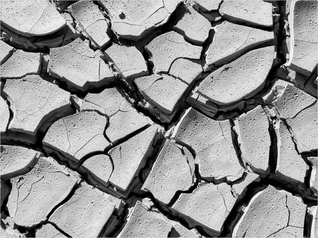 Detail Dry Riverbed Drought Texture Background Number 2