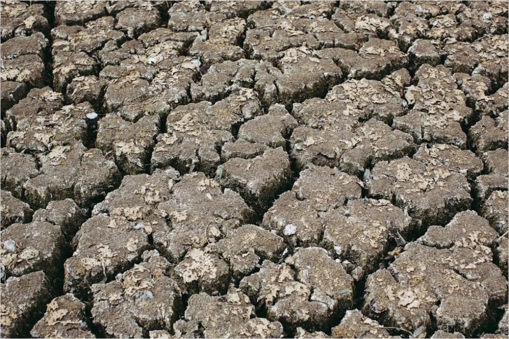 Detail Dry Riverbed Drought Texture Background Number 3