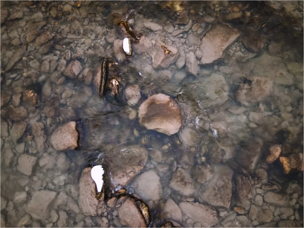 Detail Dry Riverbed Drought Texture Background Number 6