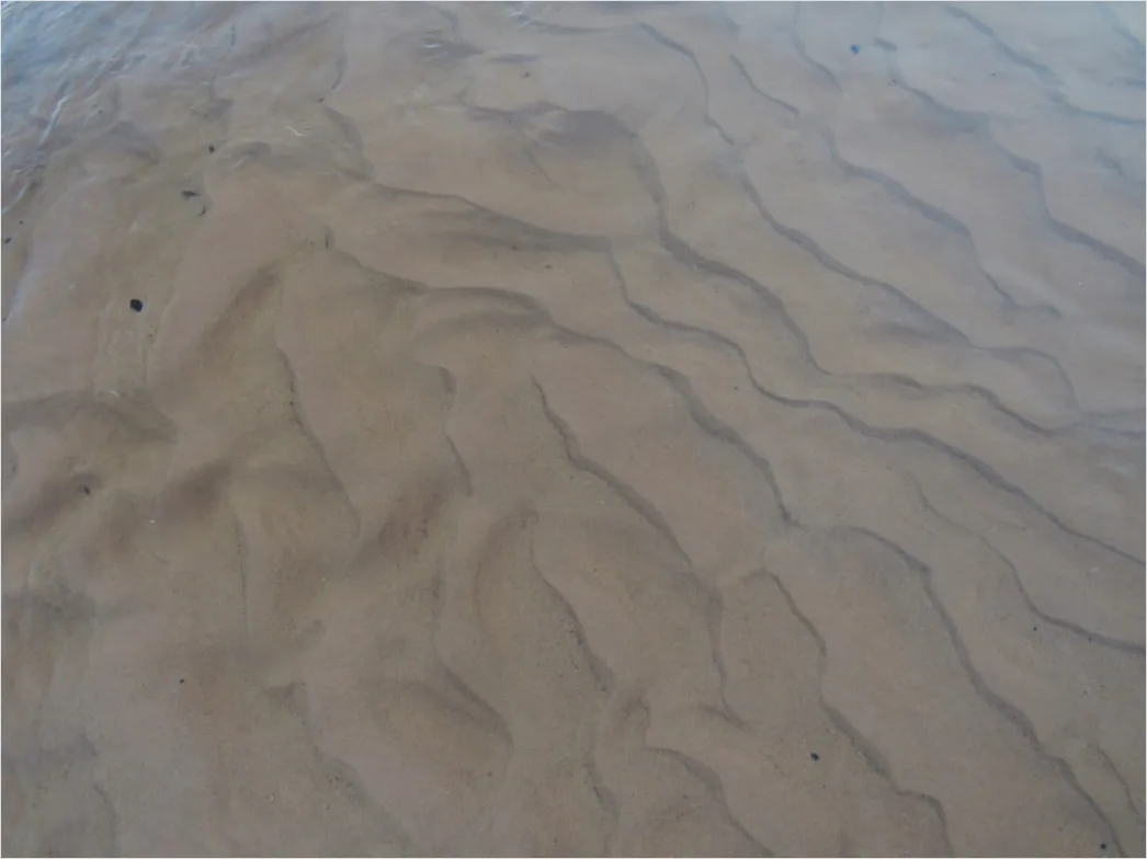 Detail Dry Riverbed Drought Texture Background Number 7