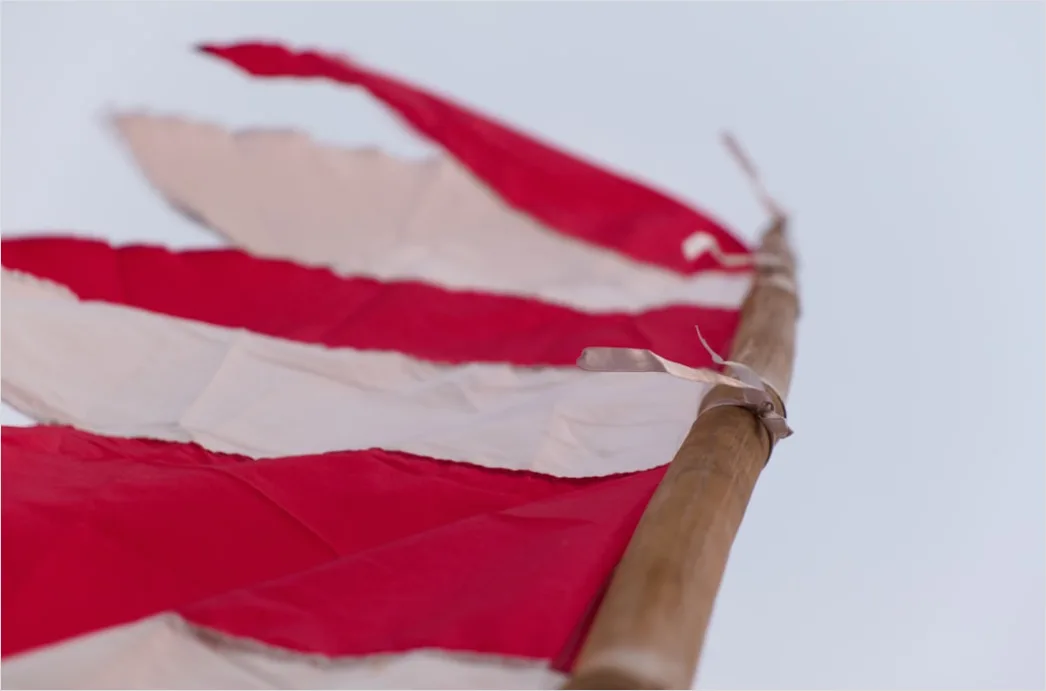 Detail Flag Blowing Strong Wind Close Up Number 11