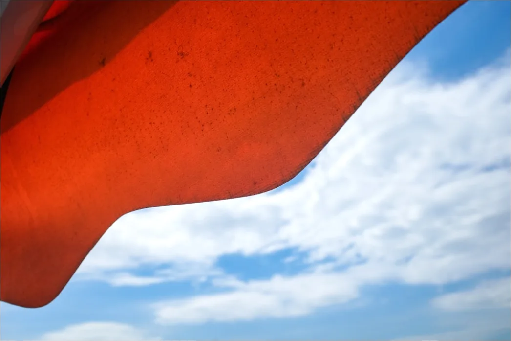 Detail Flag Blowing Strong Wind Close Up Number 16