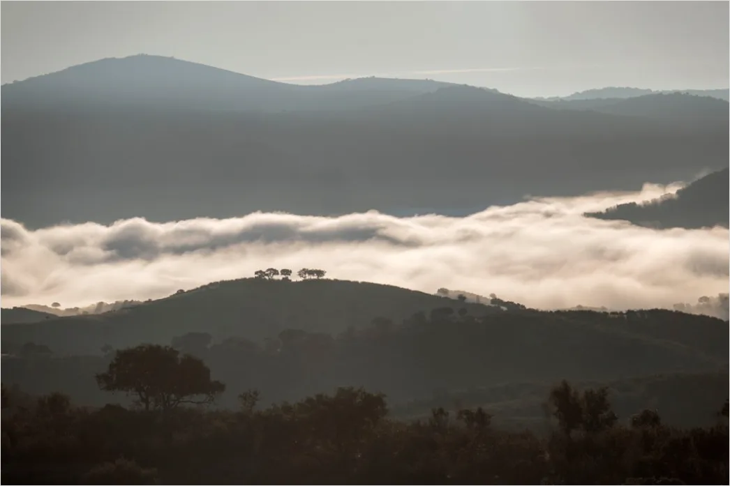 Detail Fog Rolling Over Hills Dawn Number 13