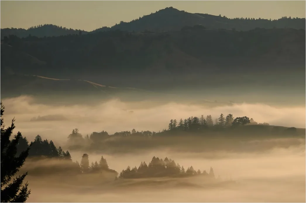 Detail Fog Rolling Over Hills Dawn Number 15