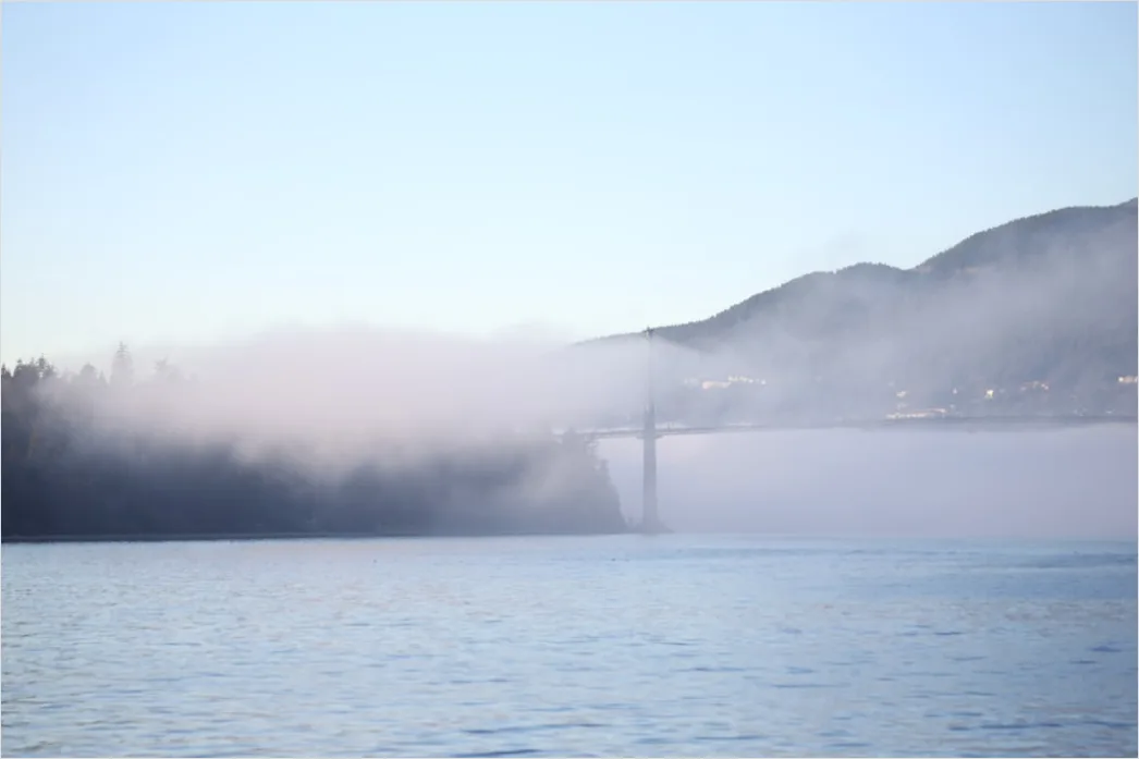 Detail Foggy Bridge Disappearing Perspective View Number 15