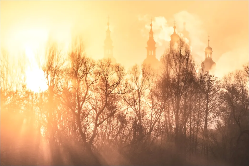 Detail Foggy Morning Forest Sunbeams Rays Number 15