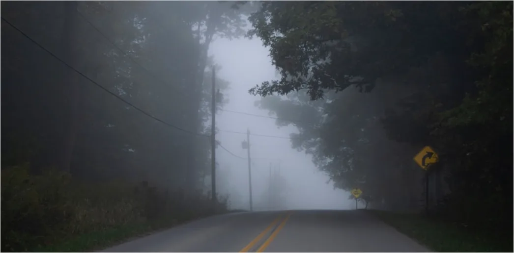 Detail Foggy Road Headlights Low Visibility Number 2