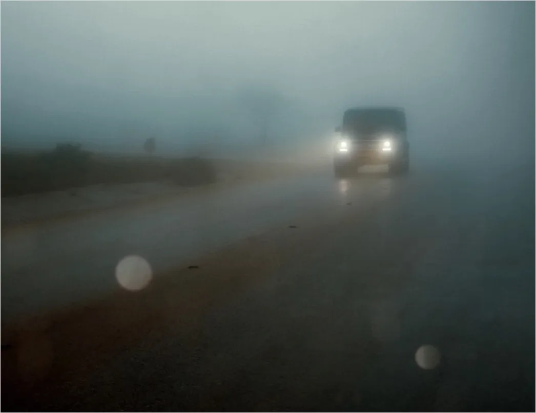 Detail Foggy Road Headlights Low Visibility Number 12