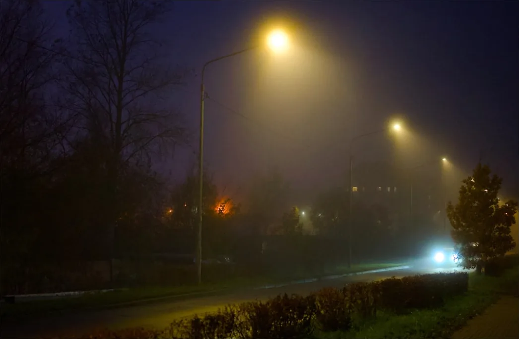 Detail Foggy Road Headlights Low Visibility Number 19