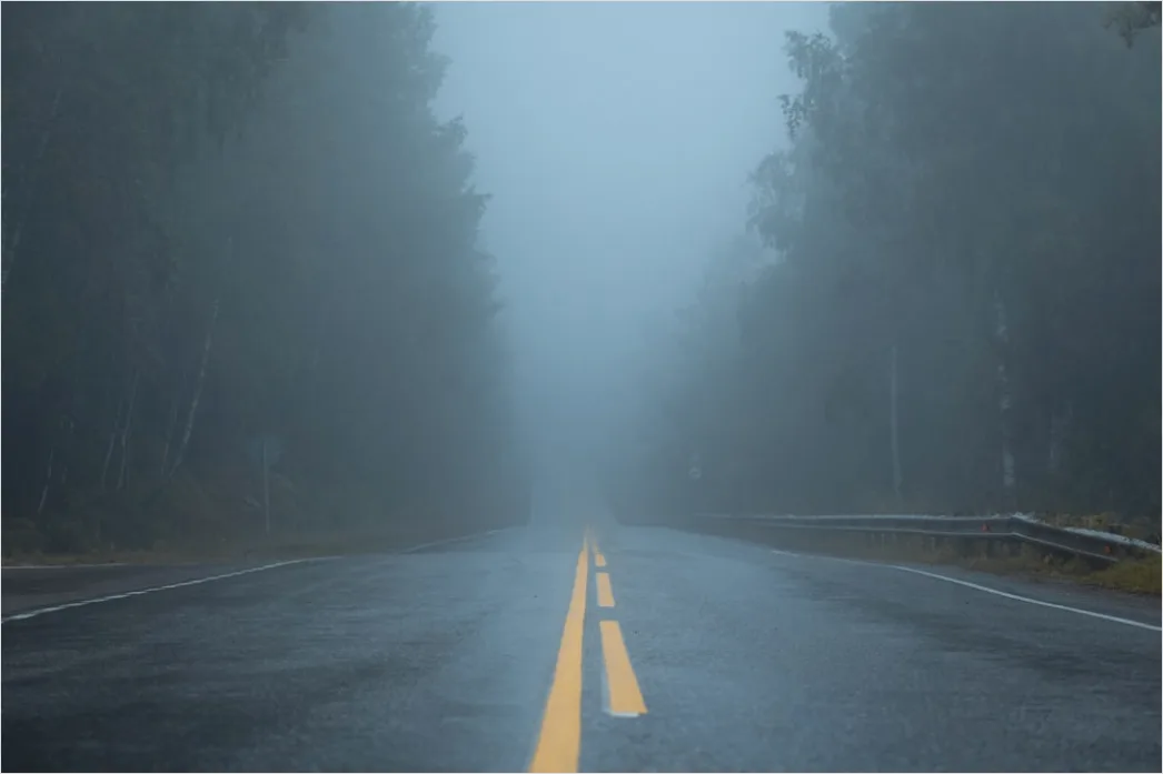 Detail Foggy Road Headlights Low Visibility Number 4