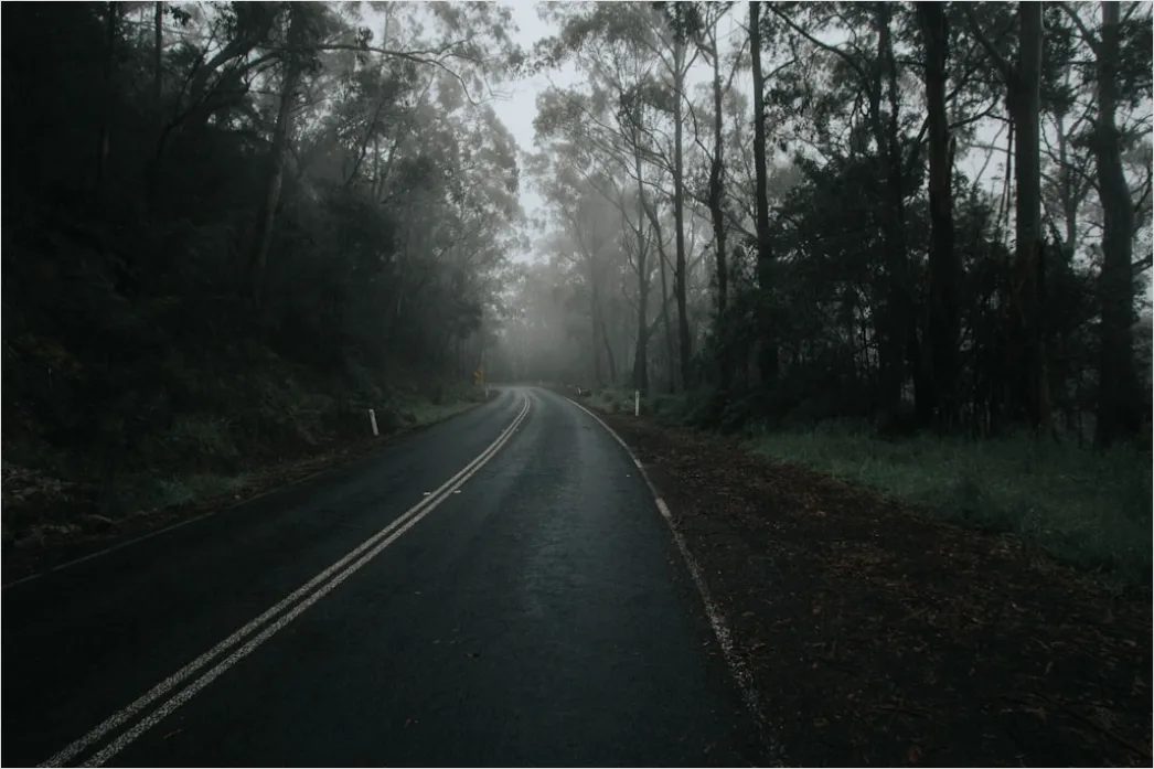 Detail Foggy Road Headlights Low Visibility Number 7