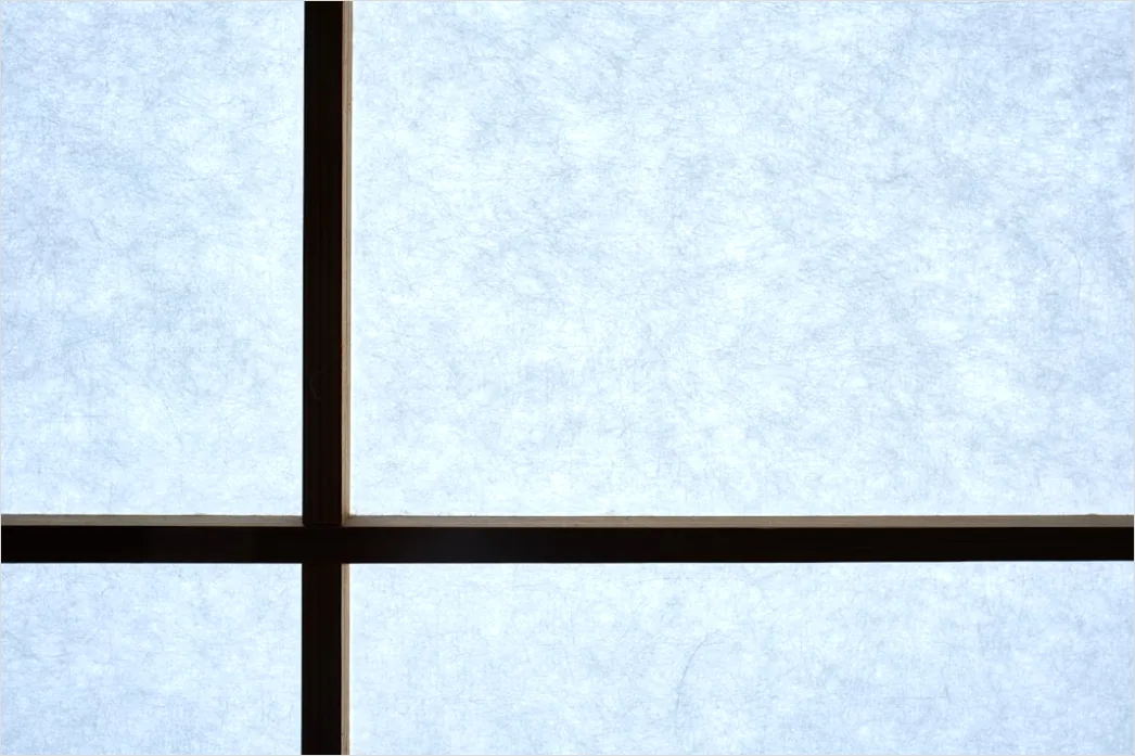 Detail Frost Covered Window Pattern Close Up Number 13