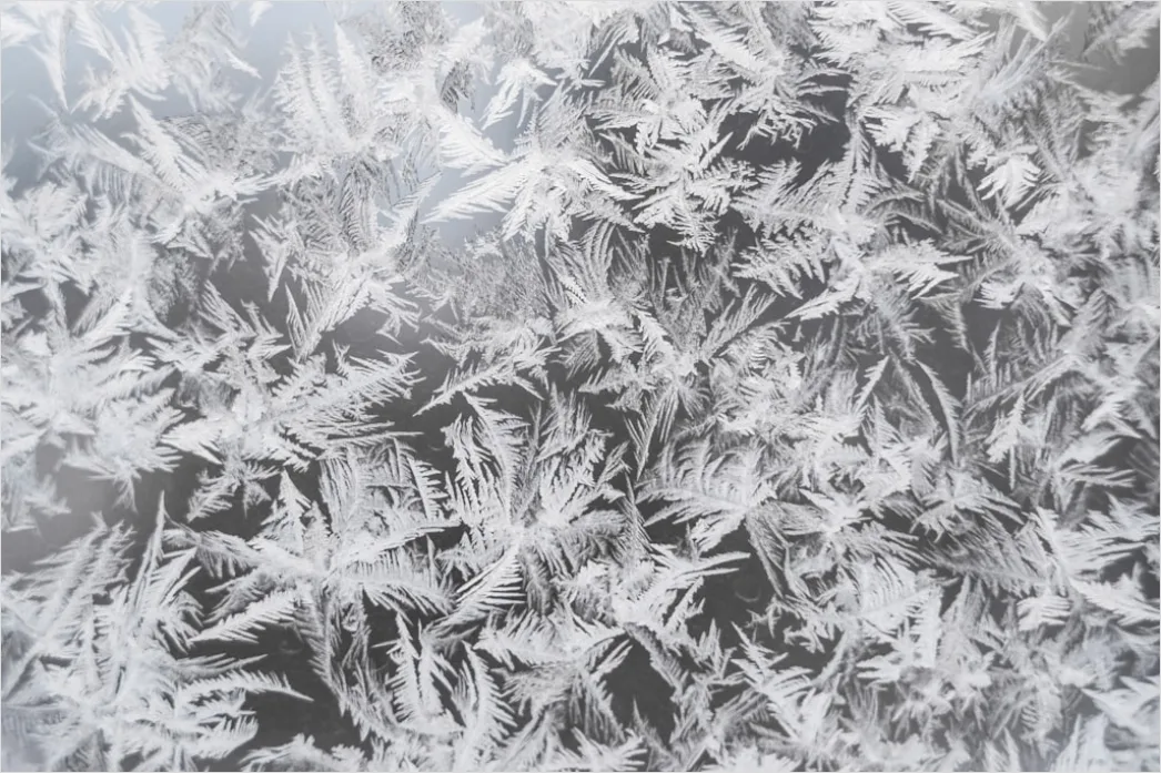 Detail Frost Covered Window Pattern Close Up Number 14
