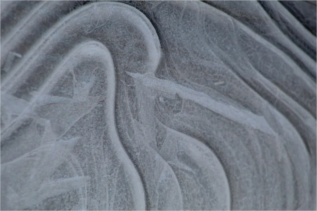 Detail Frost Covered Window Pattern Close Up Number 15
