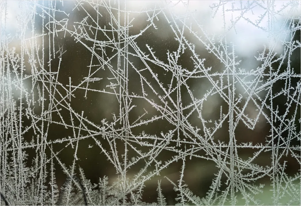 Detail Frost Covered Window Pattern Close Up Number 17