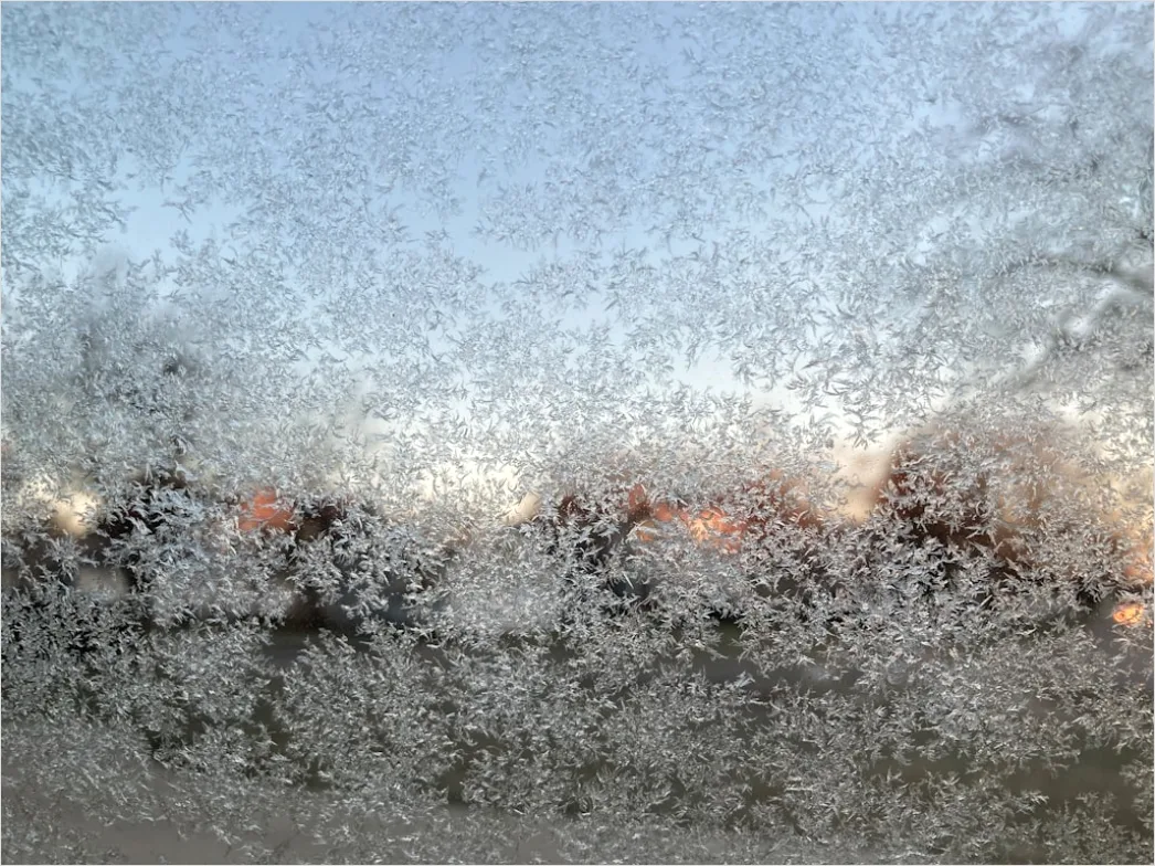 Detail Frost Covered Window Pattern Close Up Number 19