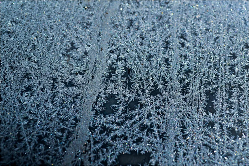 Detail Frost Covered Window Pattern Close Up Number 4