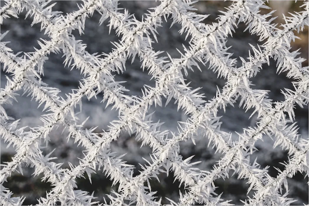 Detail Frost Covered Window Pattern Close Up Number 5