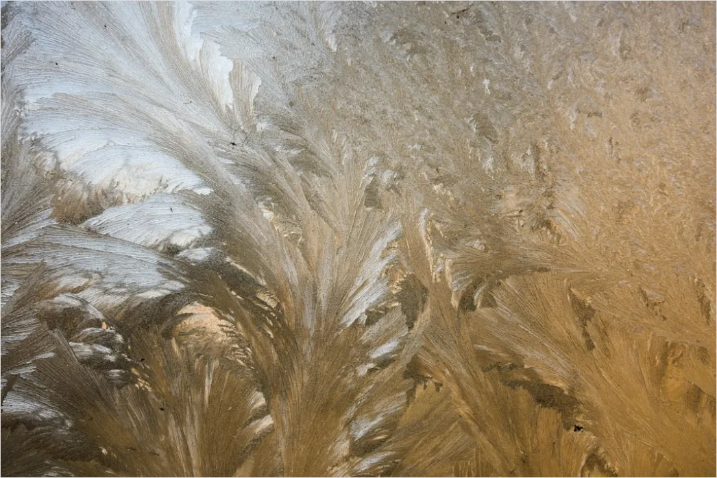 Detail Frost Covered Window Pattern Close Up Number 6