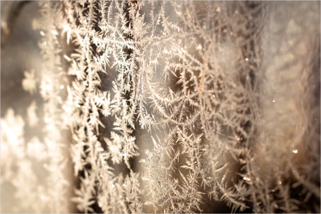 Detail Frost Covered Window Pattern Close Up Number 10