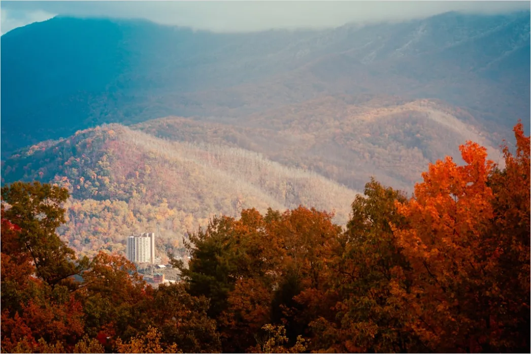 Detail Great Smoky Mountains Fall Colors Number 2