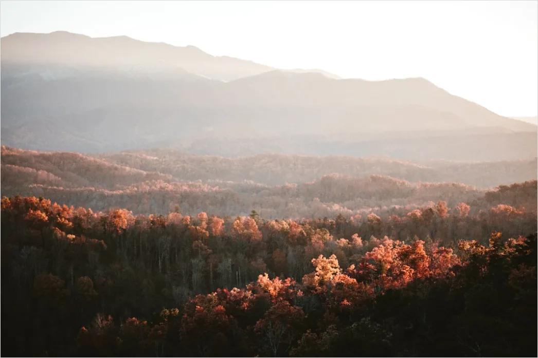 Detail Great Smoky Mountains Fall Colors Number 11