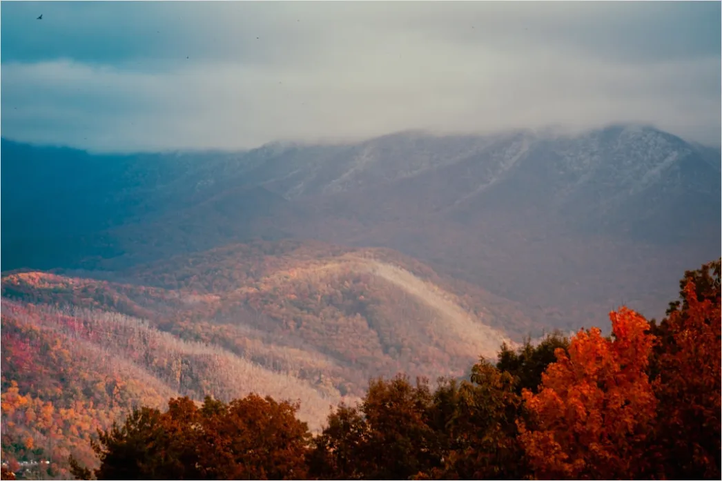 Detail Great Smoky Mountains Fall Colors Number 14