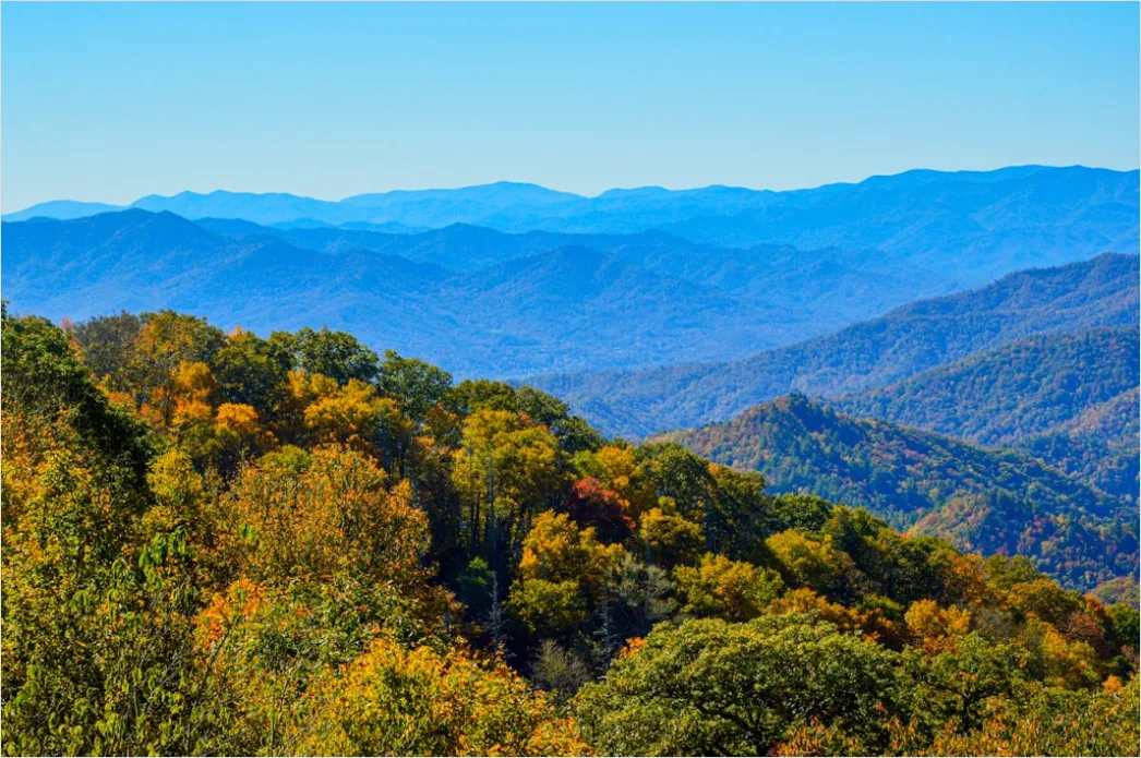 Detail Great Smoky Mountains Fall Colors Number 5
