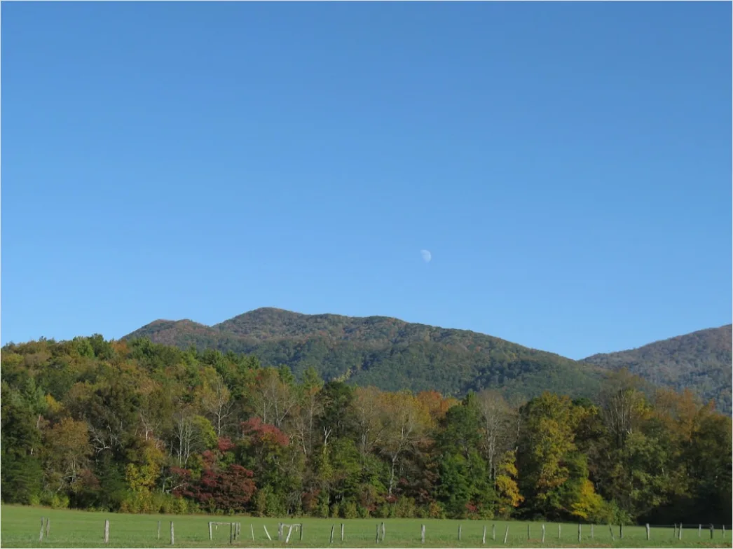 Detail Great Smoky Mountains Fall Colors Number 6