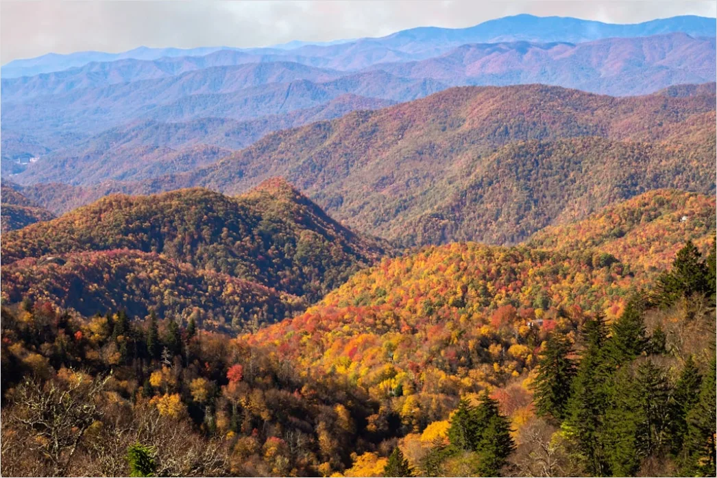 Detail Great Smoky Mountains Fall Colors Number 7