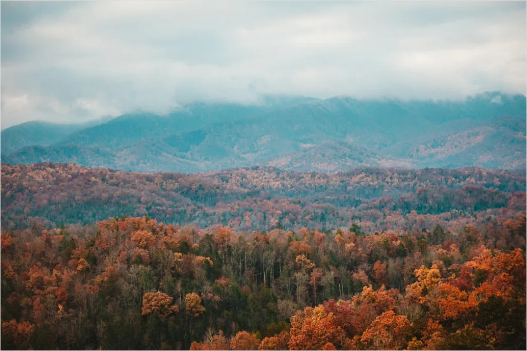 Detail Great Smoky Mountains Fall Colors Number 8