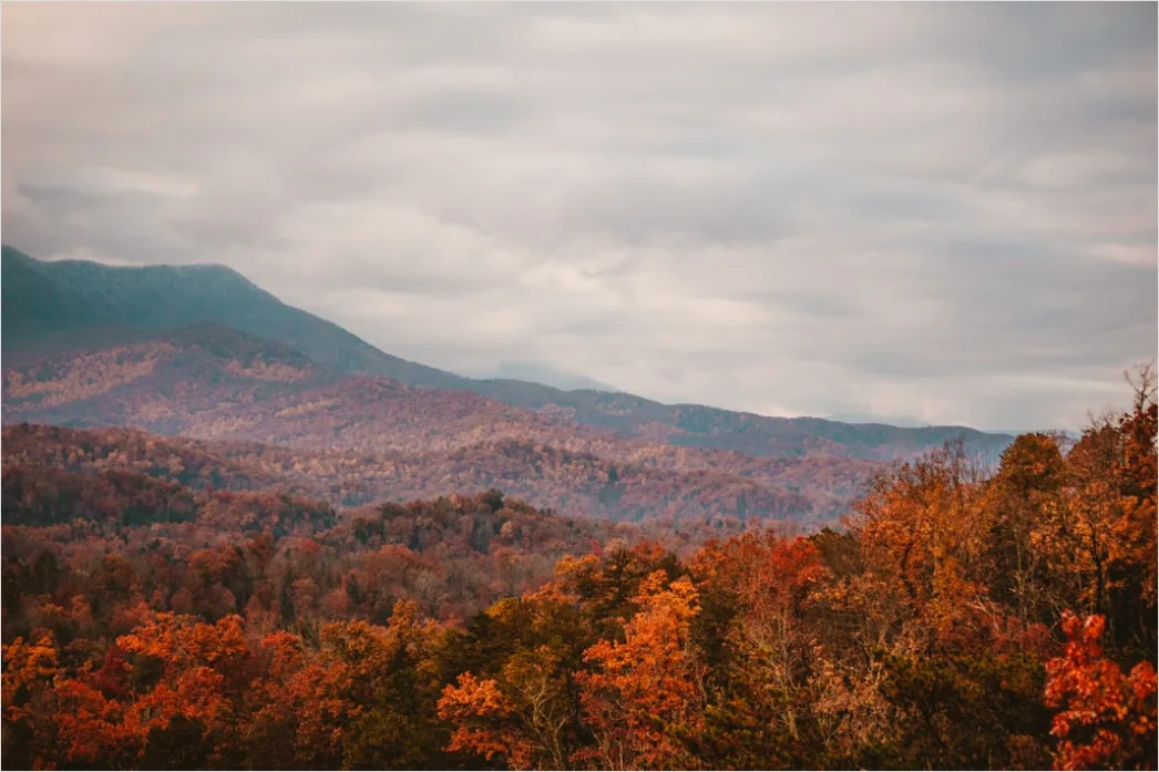 Detail Great Smoky Mountains Fall Colors Number 9