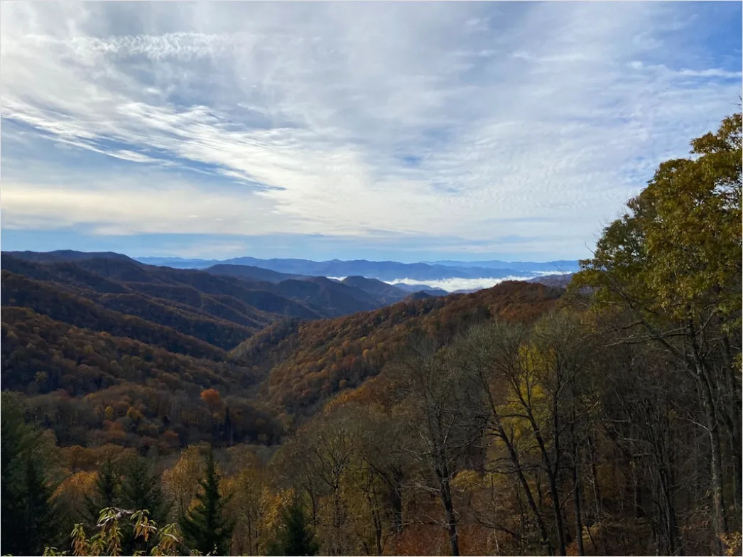 Detail Great Smoky Mountains Fall Colors Number 10
